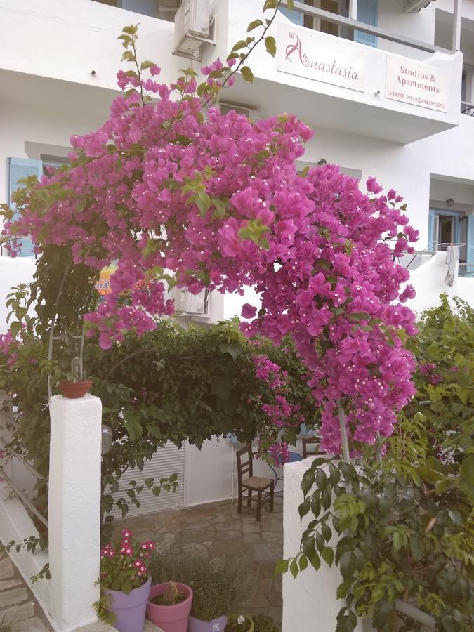 Panormos  Anastasia Studios & Apartments מראה חיצוני תמונה